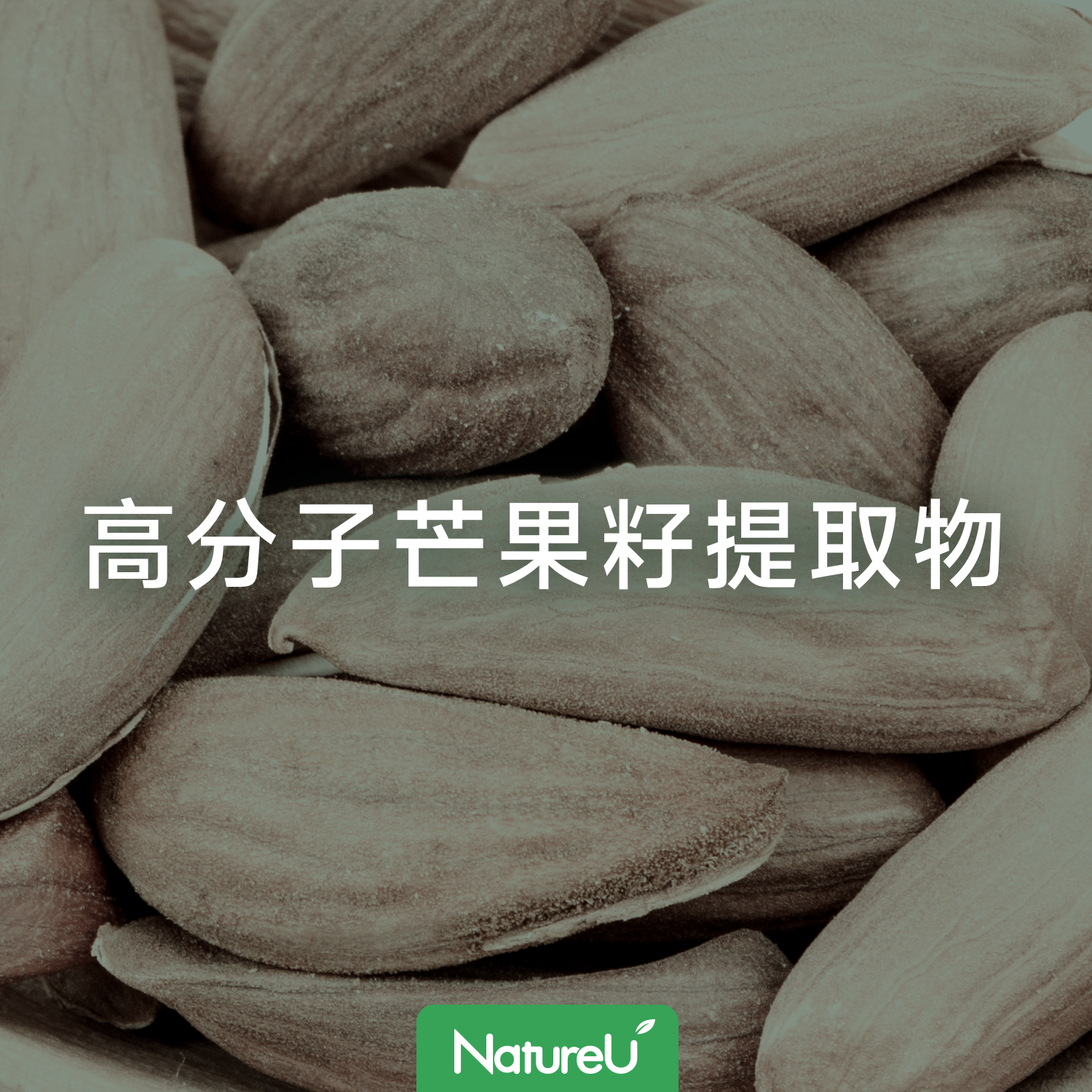 高分子芒果籽提取物：支持新陳代謝，助力燃脂健康