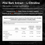 NatureU MojoMax Pine Bark Extract and L-Citrulline Energy Supplement | 15 Tablets/Box