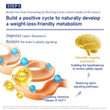 NatureU Fat Burning Slimming FitMaster®+Green Tea Extract+Green Coffee+LG2055 Probiotics60 Capsules/Bottle