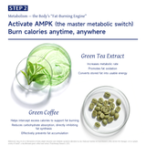 NatureU Fat Burning Slimming FitMaster®+Green Tea Extract+Green Coffee+LG2055 Probiotics60 Capsules/Bottle