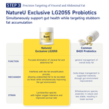 NatureU Fat Burning Slimming FitMaster®+Green Tea Extract+Green Coffee+LG2055 Probiotics60 Capsules/Bottle