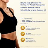 NatureU Fat Burning Slimming FitMaster®+Green Tea Extract+Green Coffee+LG2055 Probiotics60 Capsules/Bottle