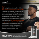 NatureU MojoMax Pine Bark Extract and L-Citrulline Energy Supplement | 15 Tablets/Box