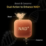 NatureU Youth Radiance – Beauty & Anti-Aging Complex PQQ+ERGO®+AGMaster® 60 capsules/bottle